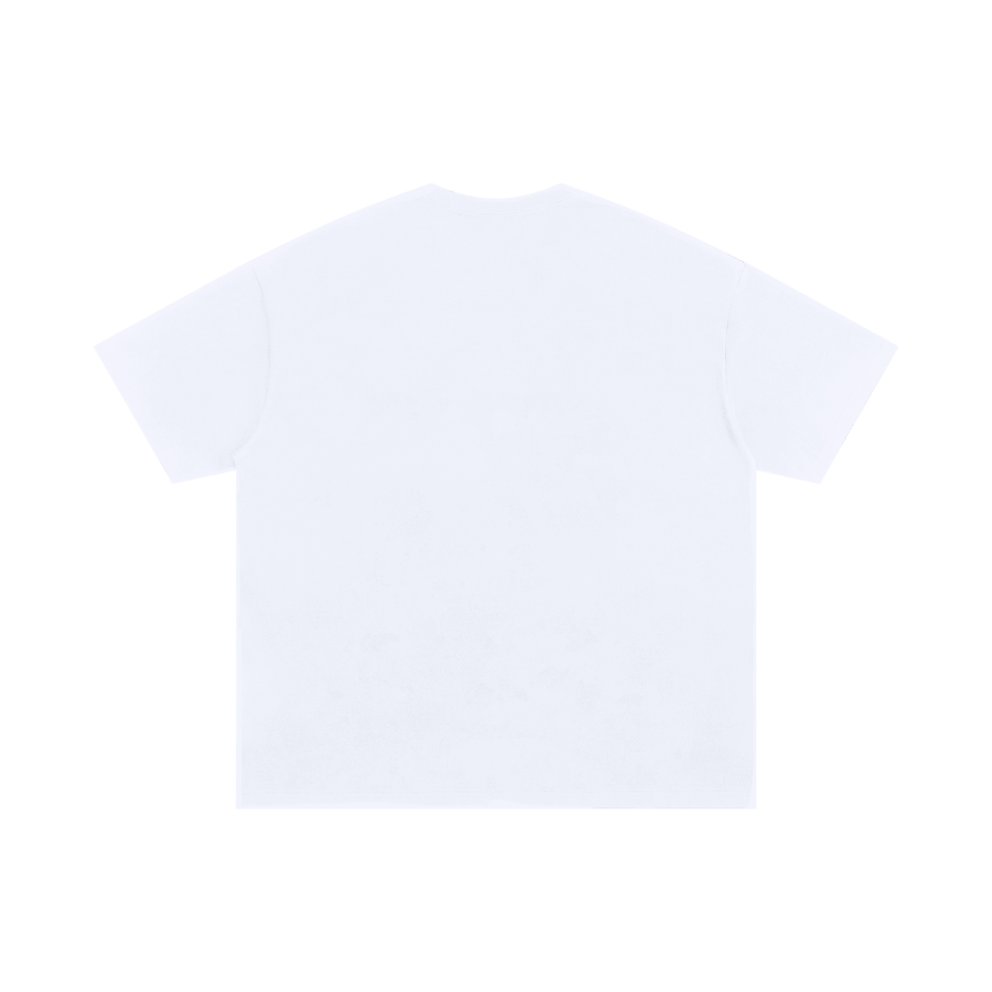 "BAFK" Nettspend Grapic Oversized Tee Shirt